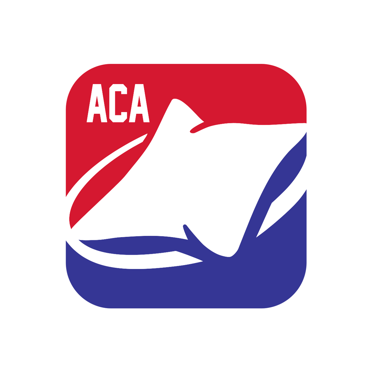 ACA Synergy Texas Pro Cornhole Bags - American Cornhole Association