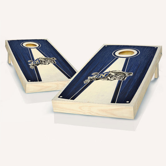 Navy Stained Pyramid Cornhole Boards