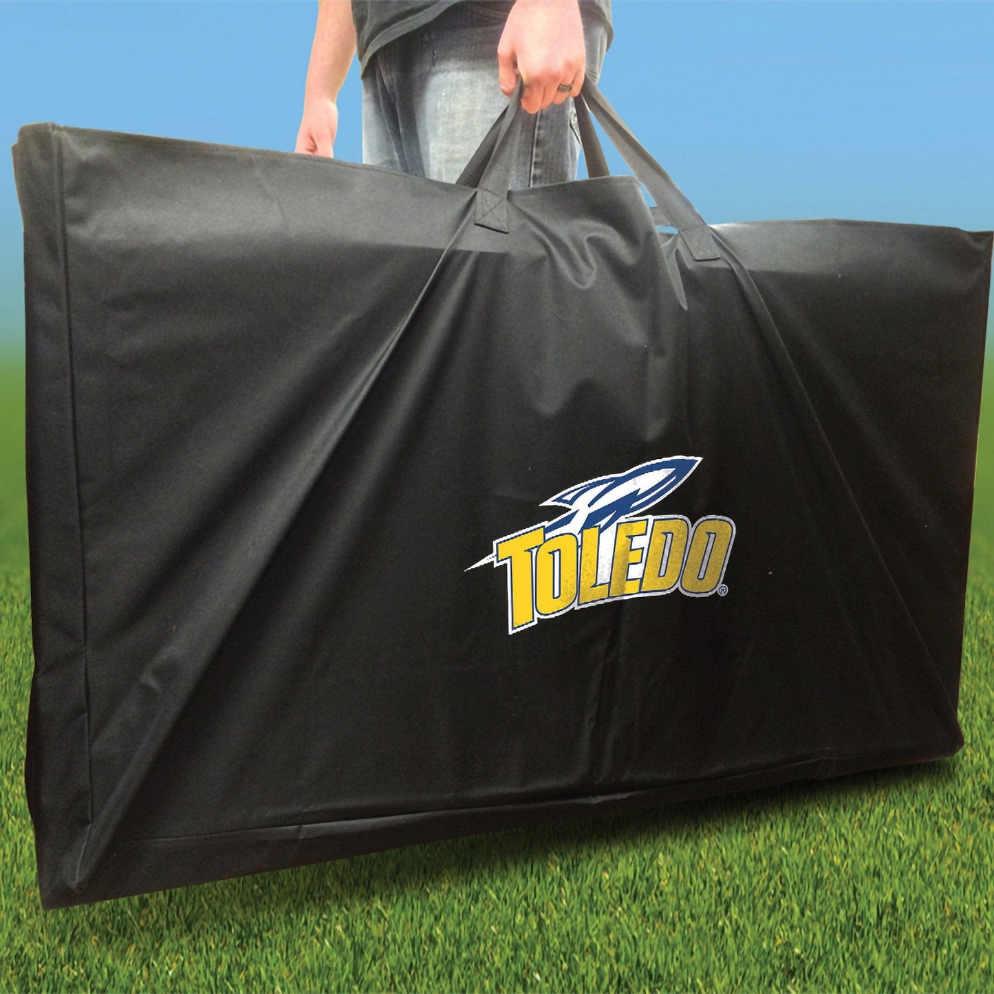 Toledo Stained Striped team logo carry case