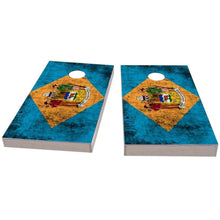 Delaware Worn Cornhole Boards
